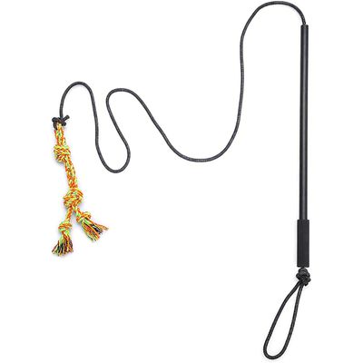UAMLY Bâton de dressage interactif pour chien