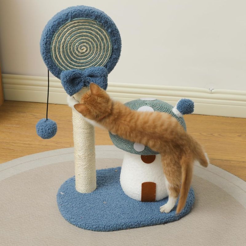 UAMLY Tour d'escalade Cat Climber