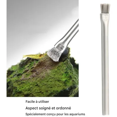 ZooVenture Brosse A Algues En Acier Inoxydable 304 Pour Aquarium