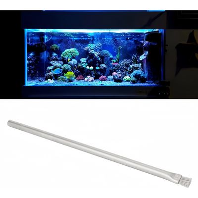 ZooVenture Brosse A Algues En Acier Inoxydable 304 Pour Aquarium