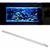 ZooVenture Brosse A Algues En Acier Inoxydable 304 Pour Aquarium