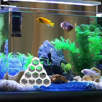 ZooVenture Abri En Céramique En Forme De Grotte Pour Aquarium