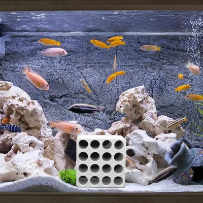 ZooVenture Abri En Céramique En Forme De Grotte Pour Aquarium