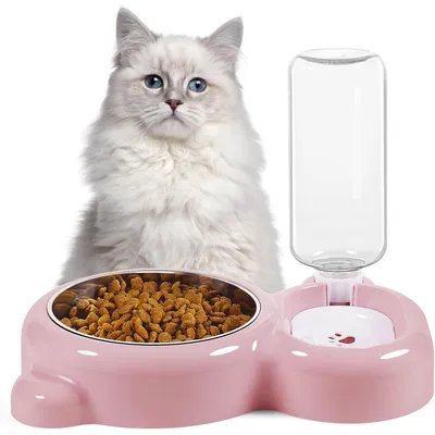 UAMLY Eau potable pour chat et bol en acier inoxydable