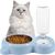 UAMLY Eau potable pour chat et bol en acier inoxydable