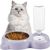 UAMLY Eau potable pour chat et bol en acier inoxydable