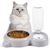 UAMLY Eau potable pour chat et bol en acier inoxydable