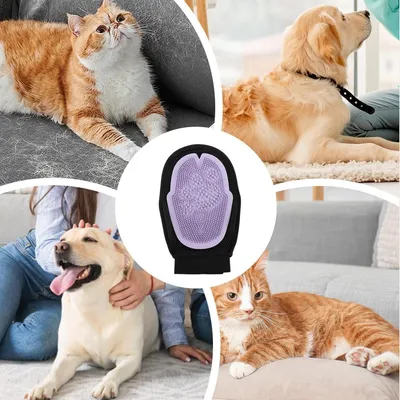 ZenPets Gants de bain pour chien