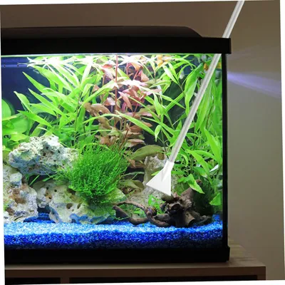 Nettoyeur de réservoir de Poisson