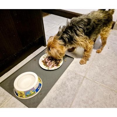 UAMLY Tapis en silicone pour chien pour la nourriture et l'eau