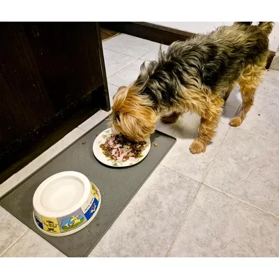 UAMLY Alfombrilla de silicona para perros para comida y agua