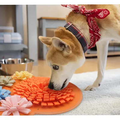 ZenPets Tapis de reniflement pour chien