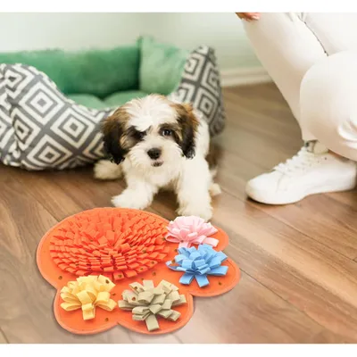 ZenPets Tapis de reniflement pour chien