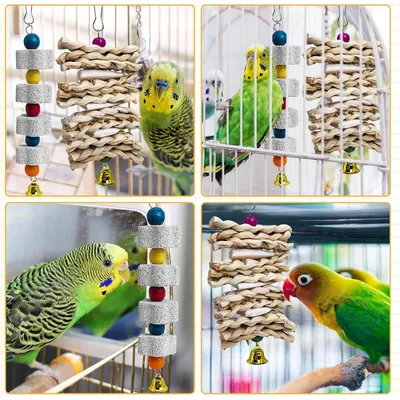 ZooVenture Deux Jouets Pour Oiseaux