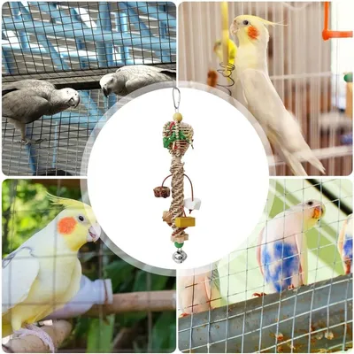 ZooVenture Jouet À Panier D'algues Coloré Pour Oiseaux