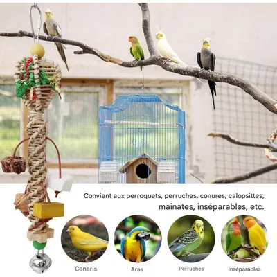 ZooVenture Jouet À Panier D'algues Coloré Pour Oiseaux