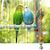 ZooVenture Jouet À Panier D'algues Coloré Pour Oiseaux
