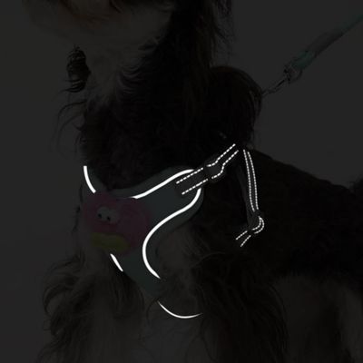ZenPets Ensemble harnais et laisse pour chien