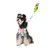 ZenPets Ensemble harnais et laisse pour chien