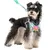 ZenPets Ensemble harnais et laisse pour chien