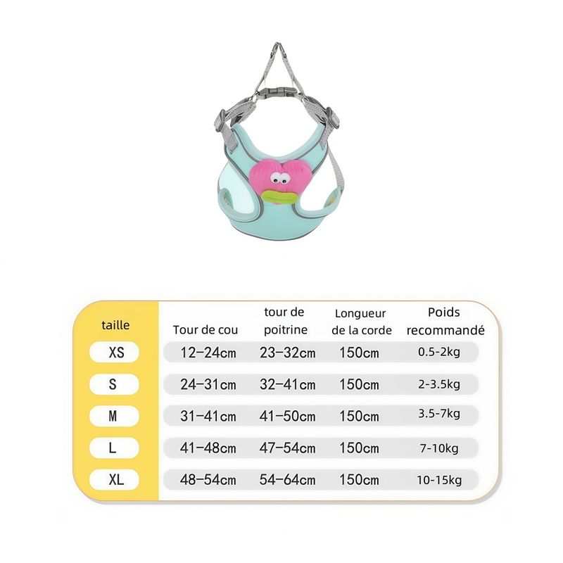 ZenPets Ensemble harnais et laisse pour chien