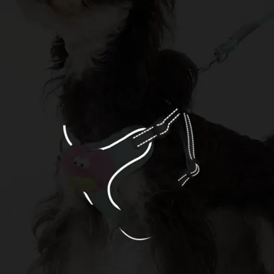 ZenPets Ensemble harnais et laisse pour chien