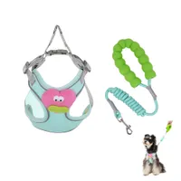 ZenPets Ensemble harnais et laisse pour chien