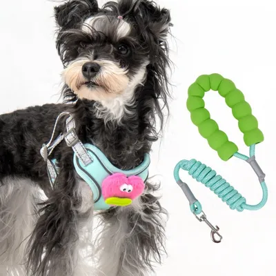 ZenPets Ensemble harnais et laisse pour chien