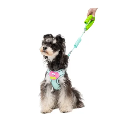 ZenPets Ensemble harnais et laisse pour chien