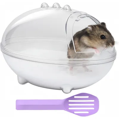 ZooVenture Bandeja de arena transparente para hámsteres