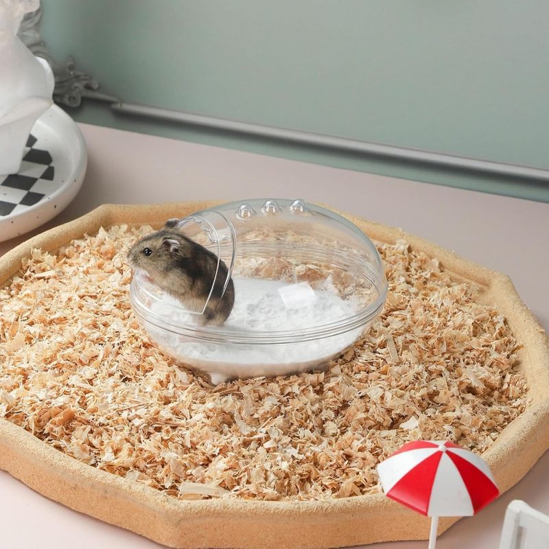 ZooVenture Bac À Sable Transparent Pour Hamster