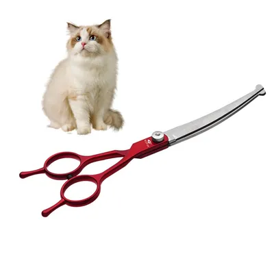 IntiMeg Ensemble de ciseaux de toilettage pour animaux de compagnie