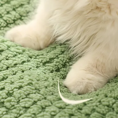 FurryFusion Lit semi-fermé pour chat en forme de grenouille