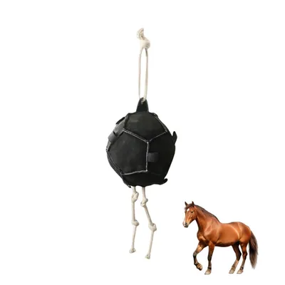 ZooVenture Balle Carotte pour cheval