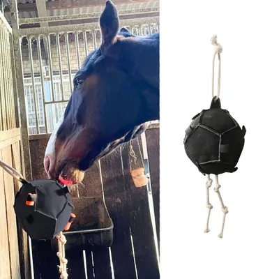 ZooVenture Balle Carotte pour cheval