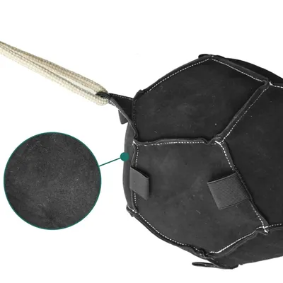 ZooVenture Balle Carotte pour cheval