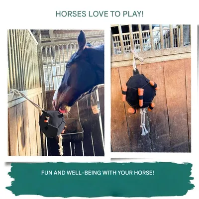 ZooVenture Balle Carotte pour cheval