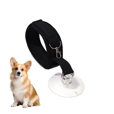 ZooVenture Attache de bain pour chien avec ventouse