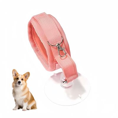 ZooVenture Attache de bain pour chien avec ventouse