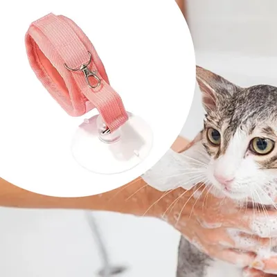 ZooVenture Attache de bain pour chien avec ventouse