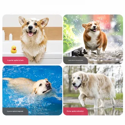 FurryFusion Robe de bain pour grand chien