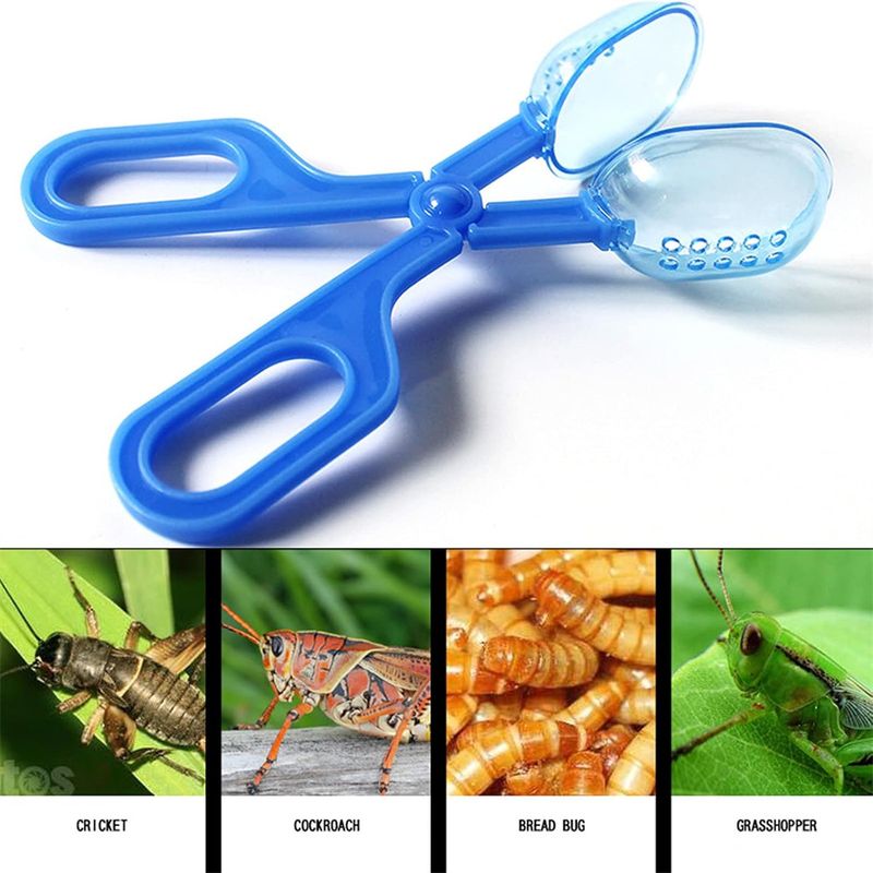 IntiMeg Pinces transparentes pour reptiles
