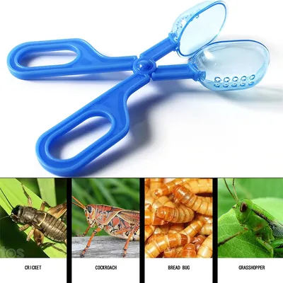 IntiMeg Mangeoire à pinces ABS pour reptiles