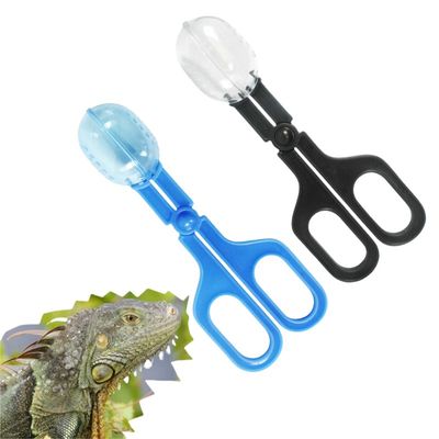 IntiMeg Pinces transparentes pour reptiles