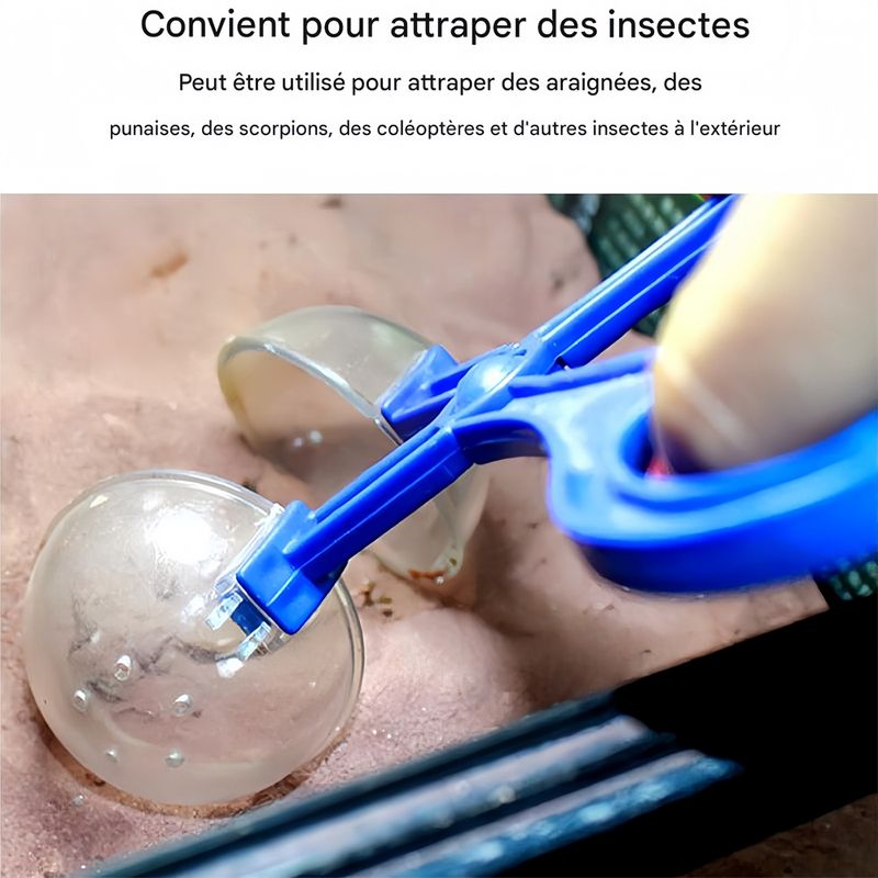 IntiMeg Pinces transparentes pour reptiles
