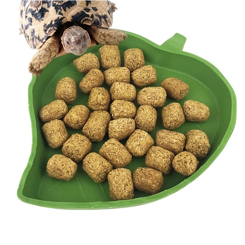 FurryFusion Mangeoire pour petits animaux en forme de feuille