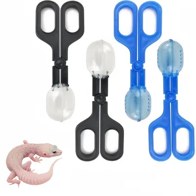 ZooVenture Kit Alimentation Reptiles Pince Transparent Pour Petits Animaux ZooVenture Kit Alimentation Reptiles Pince Transparent Pour Petits Animaux