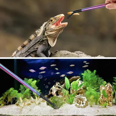 ZenPets Ensemble de pinces pour alimentation de reptiles