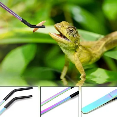 ZenPets Ensemble de pinces pour alimentation de reptiles