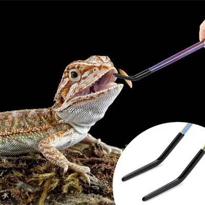ZenPets Ensemble de pinces pour alimentation de reptiles
